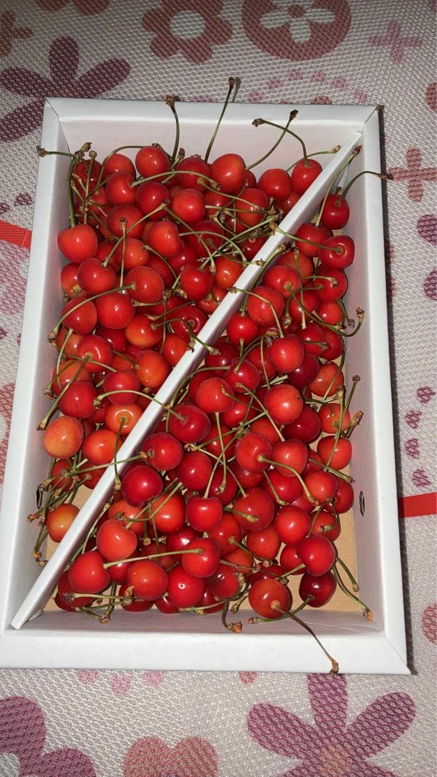 父の日限定】山形県産さくらんぼ佐藤錦 1kg 贈答用Lサイズ ｜ 果物