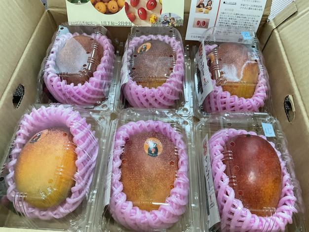 生ライチ350gパック×2 ｜ 果物/その他果物 産直アウル 農家・漁師など