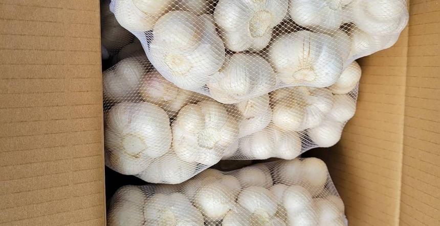 青森県産福地ホワイト6片 | 野菜/にんにく 産直アウル 農家から直接