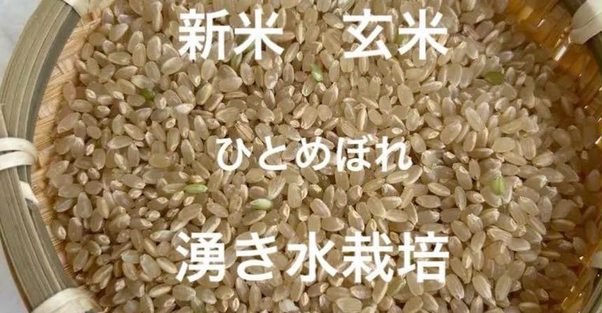 奈良県産 新米 ひとめぼれ 玄米 減農薬栽培 | 米・穀物/玄米