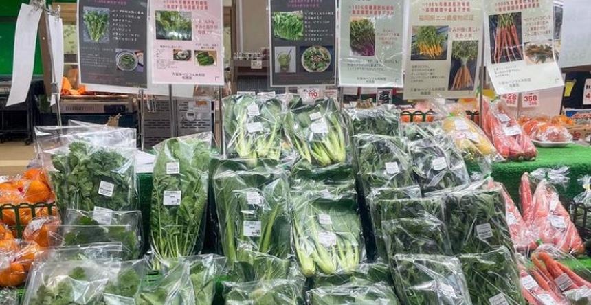 堀農園】朝どれ直送 旬の野菜7品セット｜サラダ野菜から煮物用まで揃う