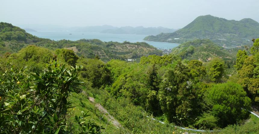 しまなみ果樹園 尾道市