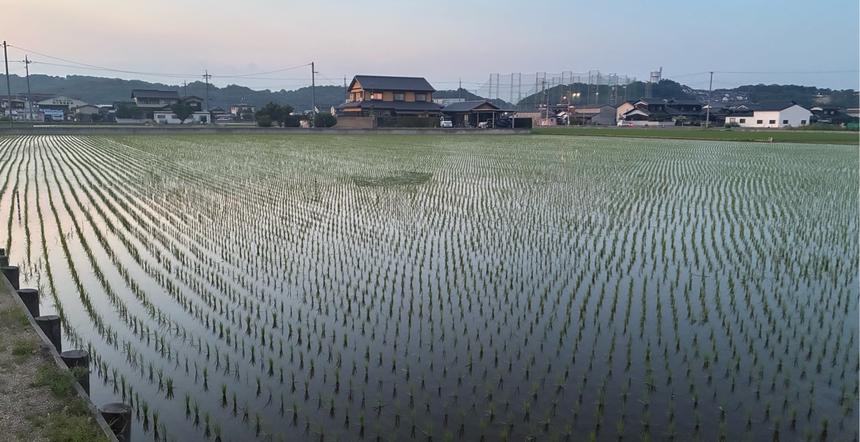 令和7年岡山県産アケボノ玄米30キロ | 米・穀物/玄米 産直アウル 農家