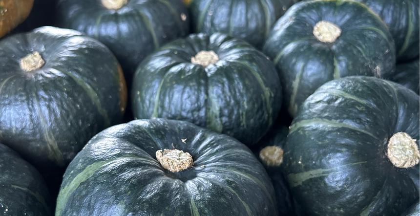 訳あり品】北海道産🎃坊ちゃんかぼちゃ | 野菜/かぼちゃ 産直アウル