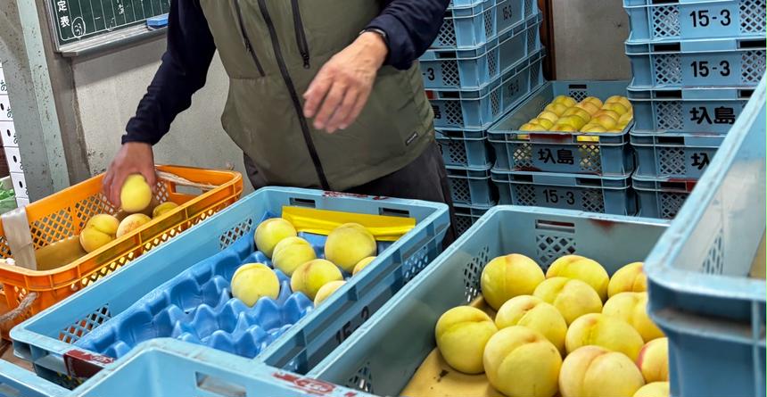 農産物やまや 紀の川市