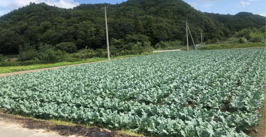 ふじもとファーム 東かがわ市