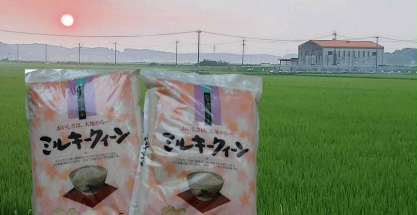 たっちゃん 玉城町
