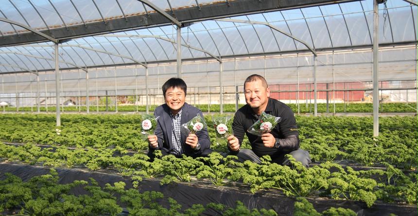 美人企画 東かがわ市