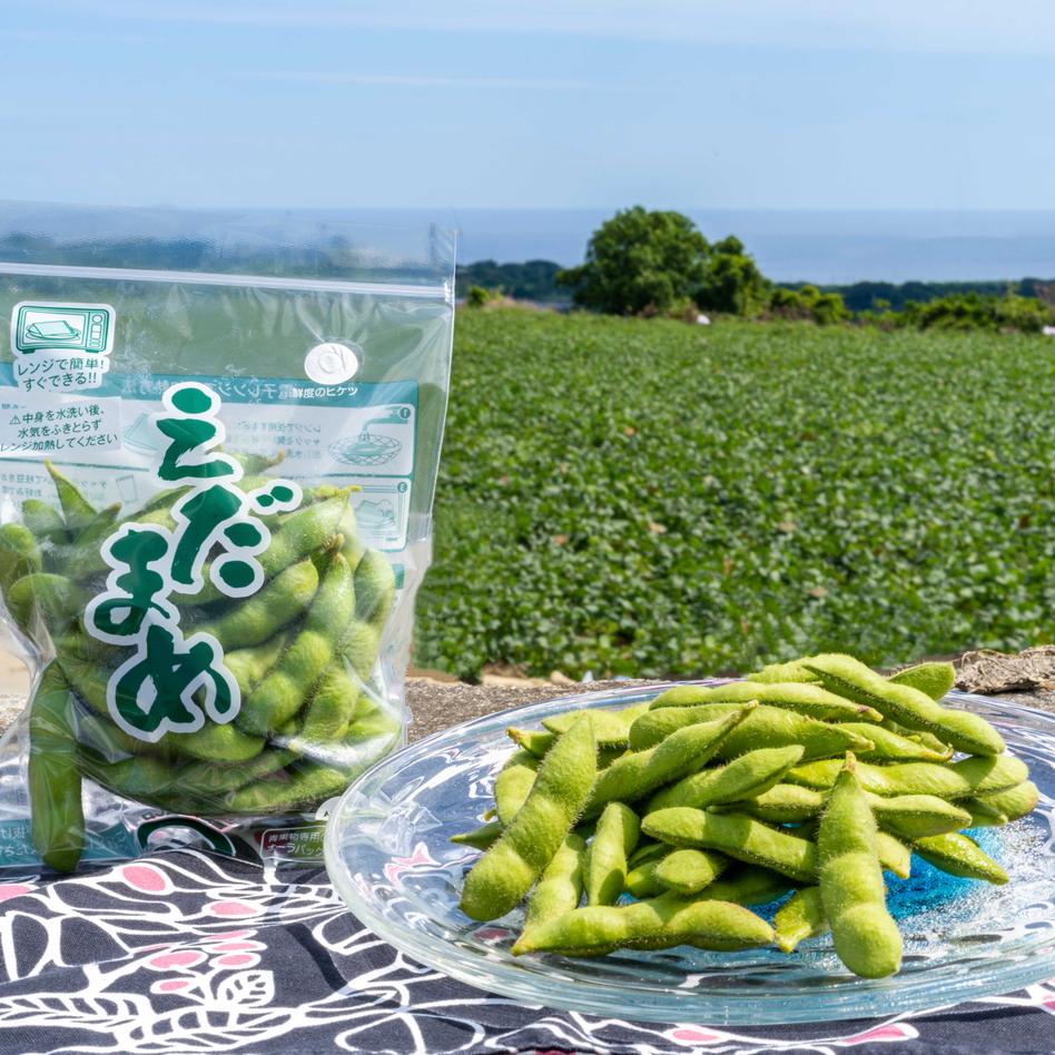 180g 2袋 4月 即発送 春の国産 生 野菜 豆類 Owl アウル 農家から直接野菜などの食材を購入できる産地直送の宅配通販サイト