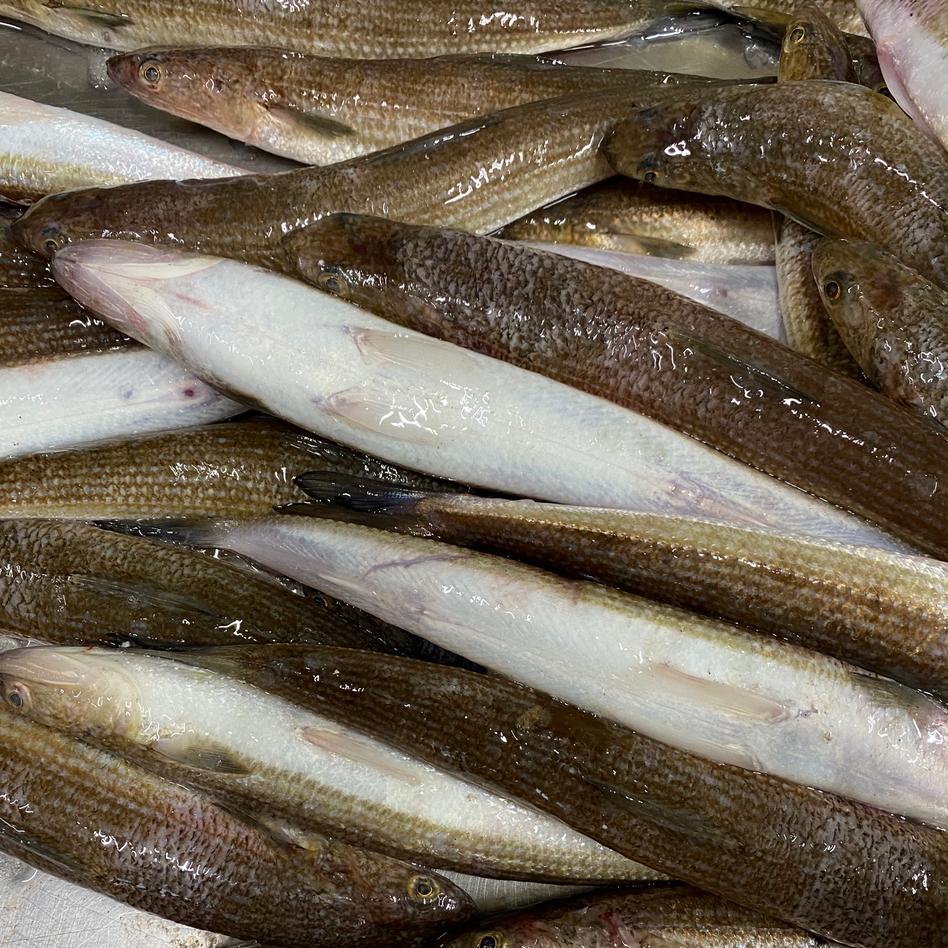 瀬戸内産 真えそ一夜干し 魚介類 その他魚介の加工品 Owl アウル 農家から直接野菜などの食材を購入できる産地直送の宅配通販サイト