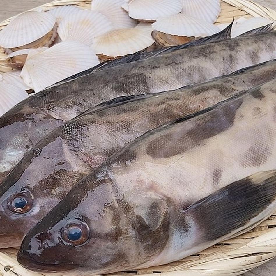 父の日ギフトに是非 真ホッケとホタ 魚介類 ホタテ Owl アウル 農家から直接野菜などの食材を購入できる産地直送の宅配通販サイト