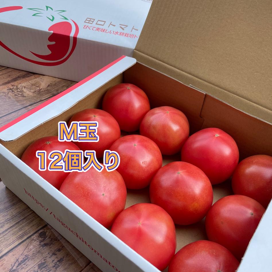 赤熟もぎり 水耕栽培の王様トマトm玉12個 野菜 トマト Owl アウル 農家から直接野菜などの食材を購入できる産地直送の宅配通販サイト