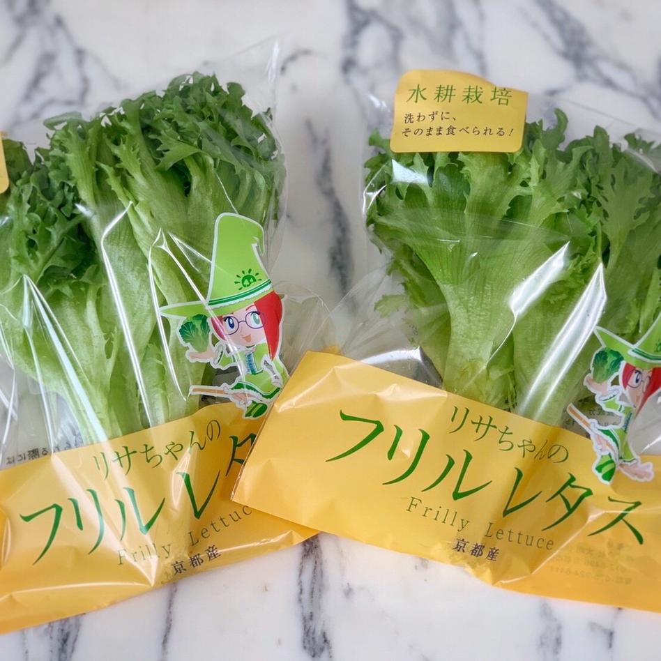 ルッコラ 水 耕 栽培 ハイポニカと一般の水耕栽培との違い Docstest Mcna Net