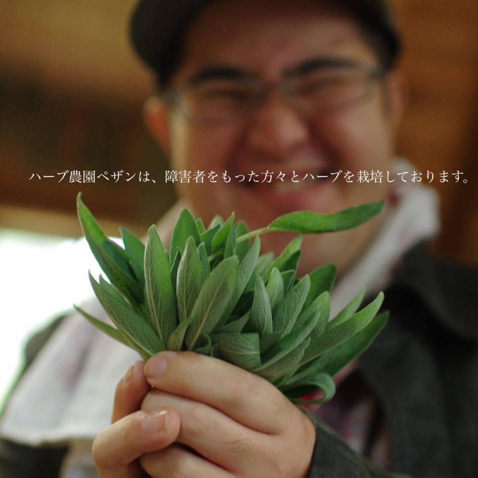 お茶時間を愛する方へ 桜餅の香り お茶 ハーブティー Owl アウル 農家から直接野菜などの食材を購入できる産地直送の宅配通販サイト