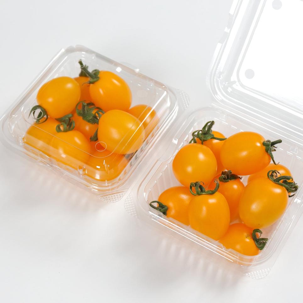 甘 い 黄色のミニトマト 約1 5kg 野菜 トマト Owl アウル 農家から直接野菜などの食材を購入できる産地直送の宅配通販サイト