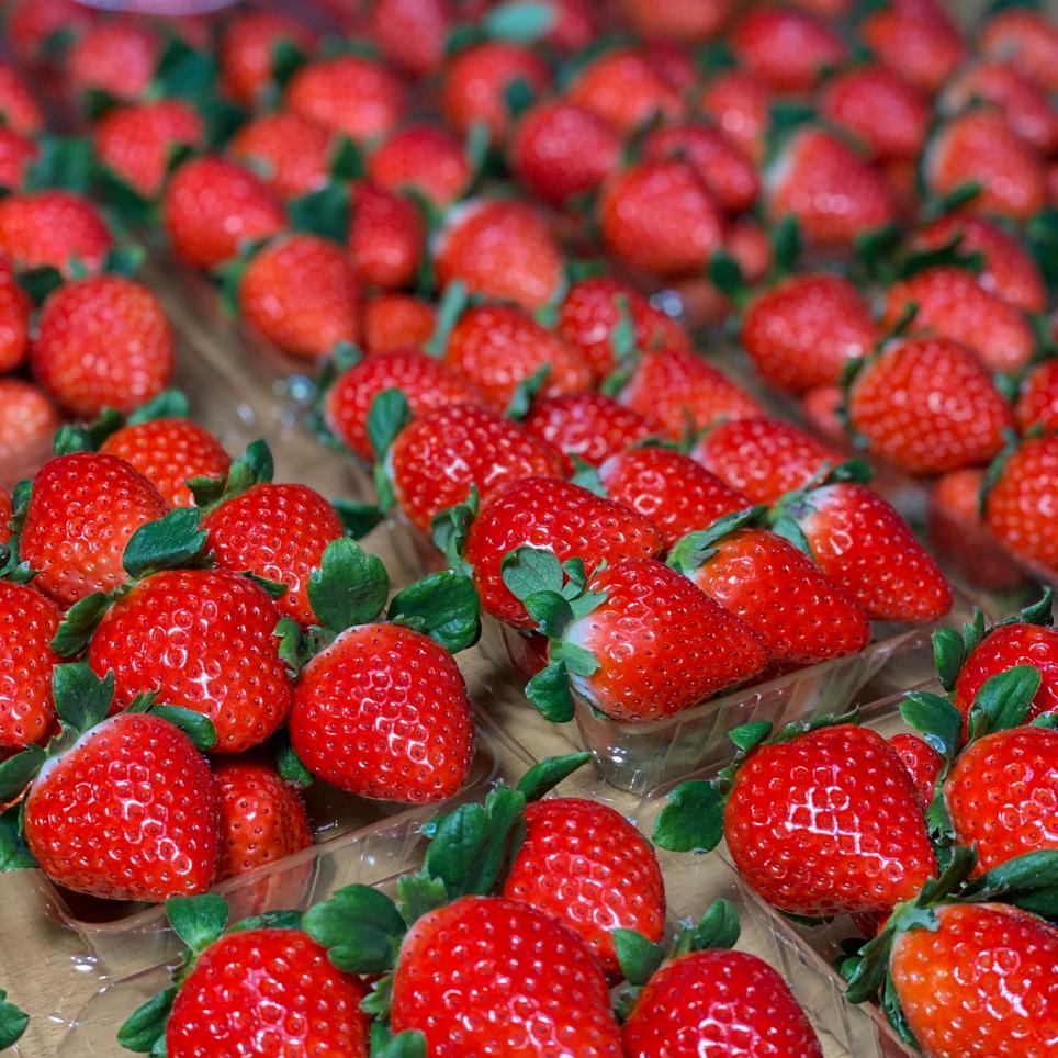 いちごさん さがほのか食べ比べパック 果物 いちご Owl アウル 農家から直接野菜などの食材を購入できる産地直送の宅配通販サイト